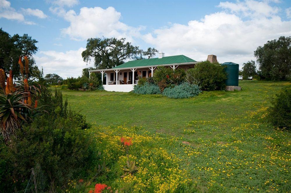 Leeuwenbosch Country House - Amakhala Game Reserve Zewnętrze zdjęcie