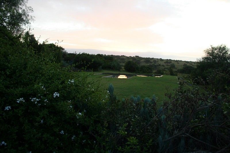Leeuwenbosch Country House - Amakhala Game Reserve Zewnętrze zdjęcie