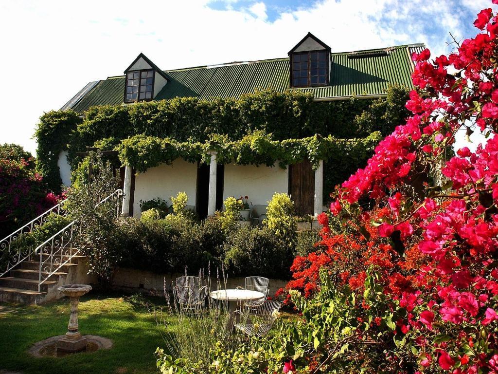 Leeuwenbosch Country House - Amakhala Game Reserve Zewnętrze zdjęcie