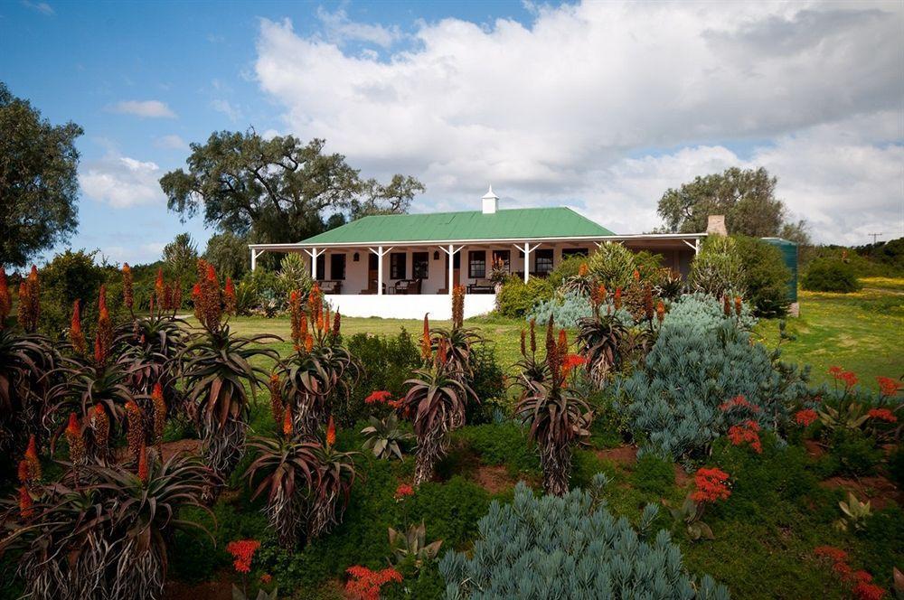 Leeuwenbosch Country House - Amakhala Game Reserve Zewnętrze zdjęcie