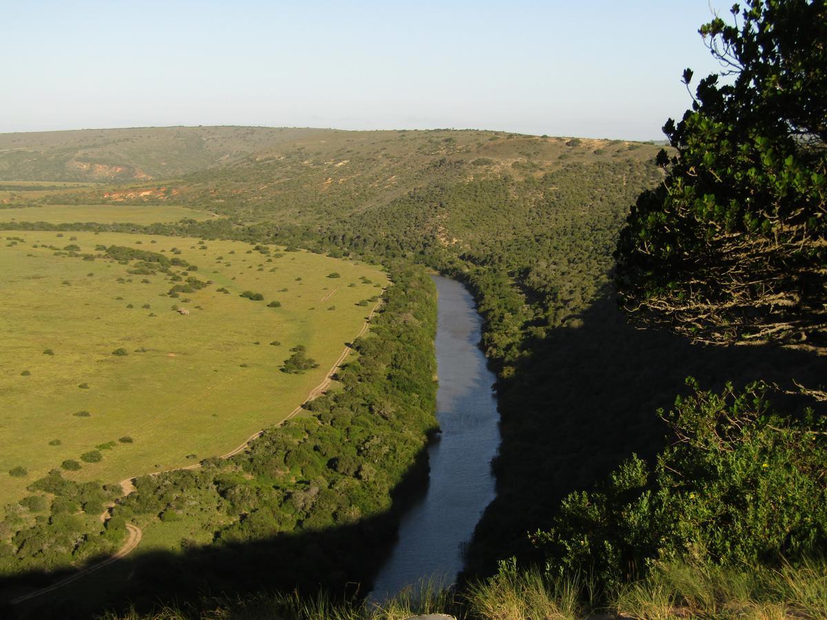 Leeuwenbosch Country House - Amakhala Game Reserve Zewnętrze zdjęcie