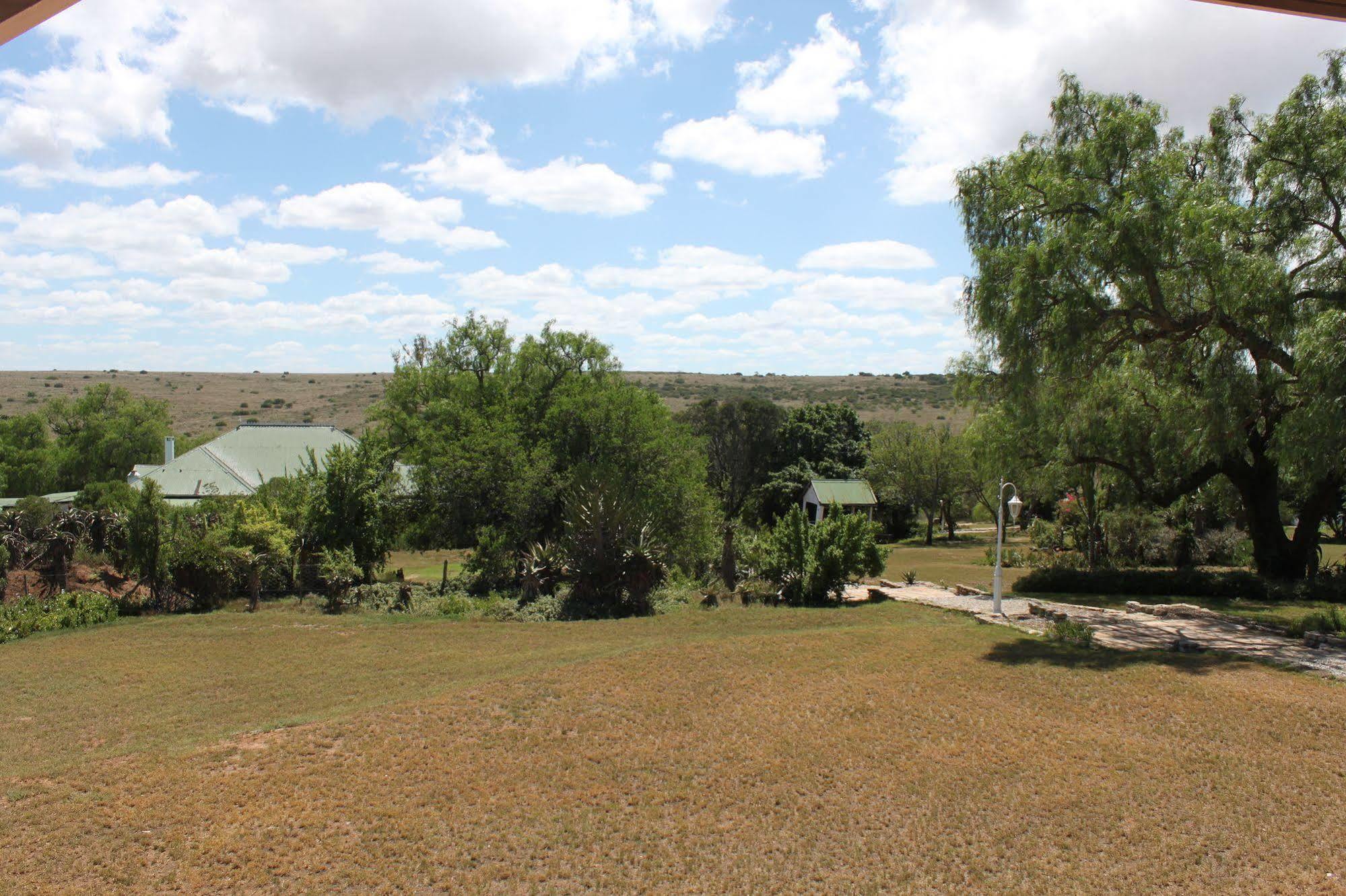 Leeuwenbosch Country House - Amakhala Game Reserve Zewnętrze zdjęcie