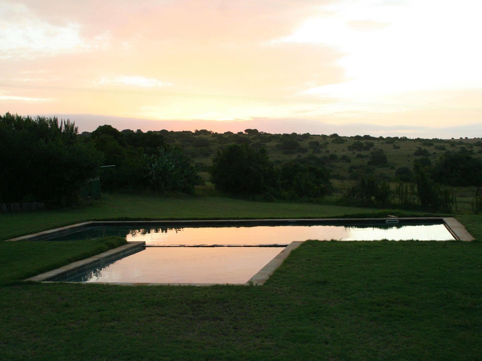 Leeuwenbosch Country House - Amakhala Game Reserve Zewnętrze zdjęcie