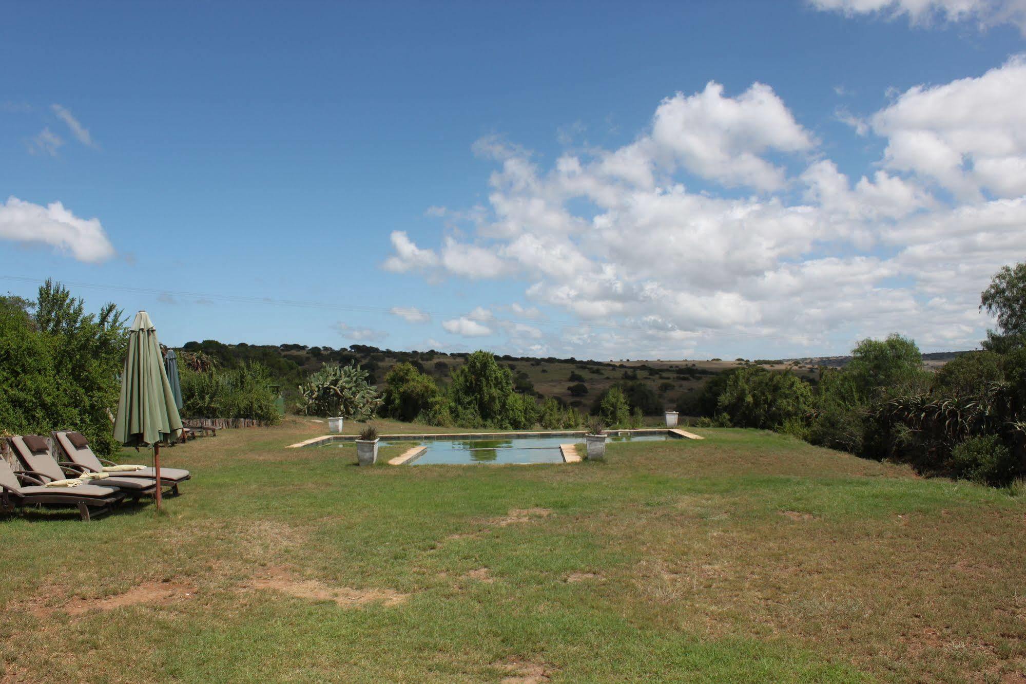 Leeuwenbosch Country House - Amakhala Game Reserve Zewnętrze zdjęcie