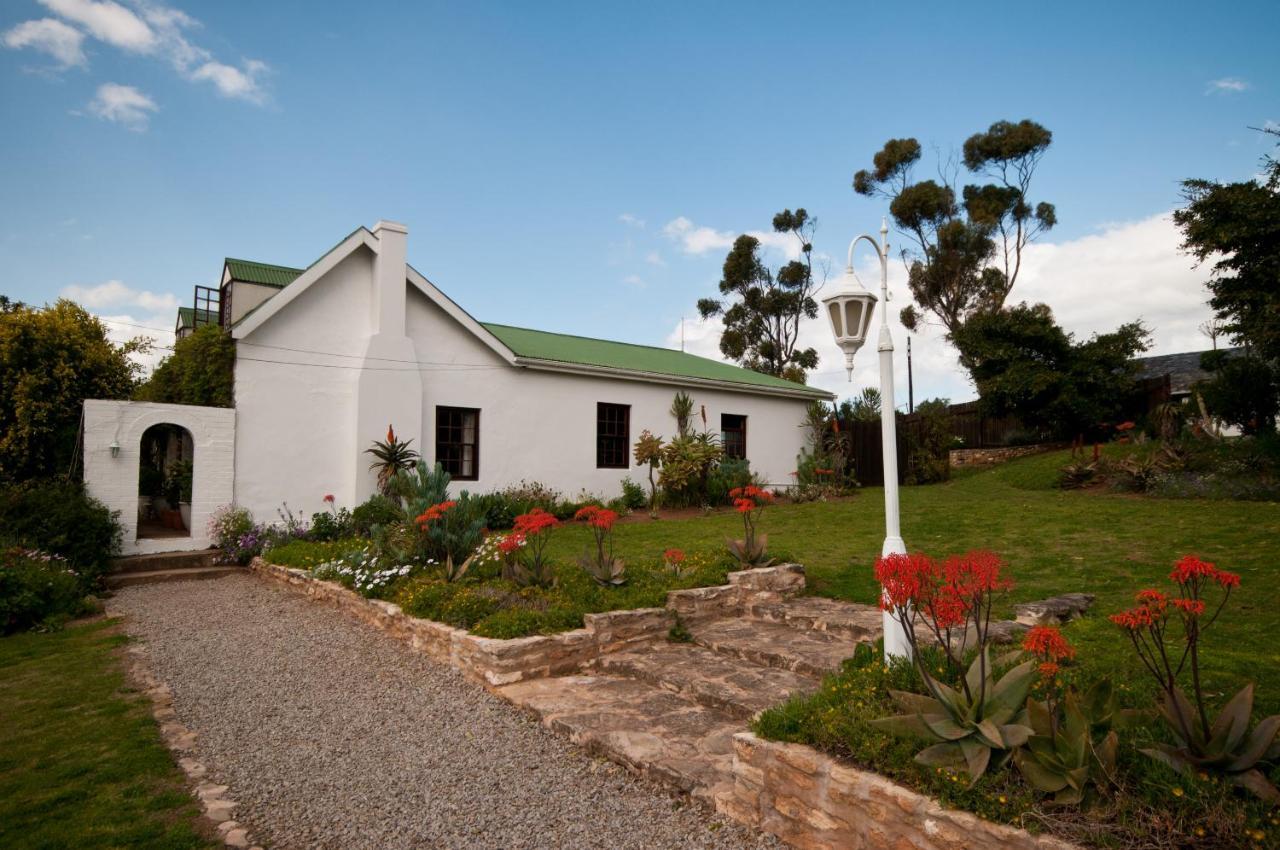 Leeuwenbosch Country House - Amakhala Game Reserve Zewnętrze zdjęcie